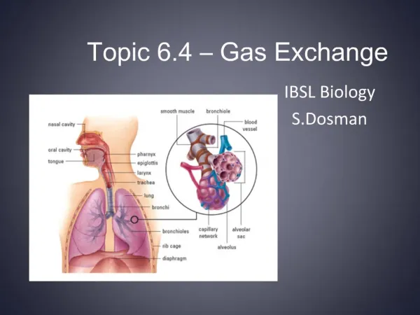 Topic 6.4 Gas Exchange