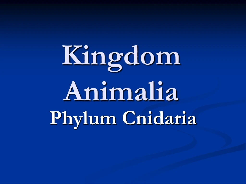 kingdom animalia