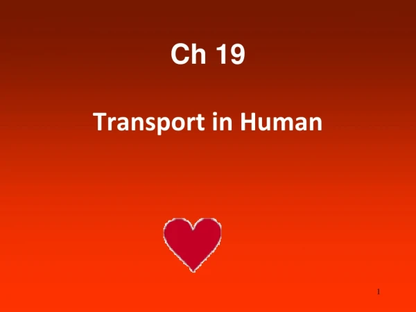 Ch 19 Transport in Human