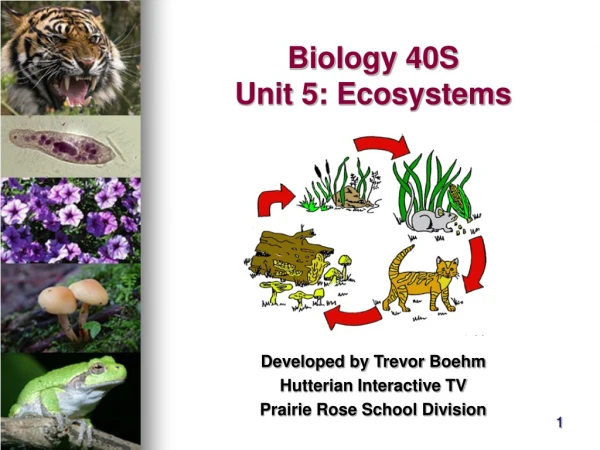 Biology 40S Unit 5: Ecosystems
