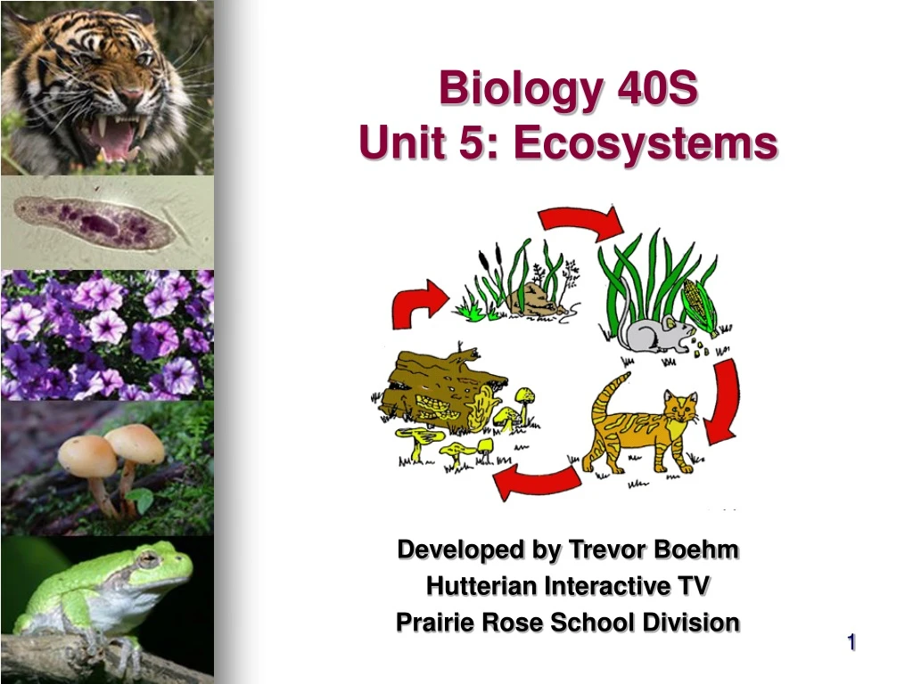 biology 40s unit 5 ecosystems