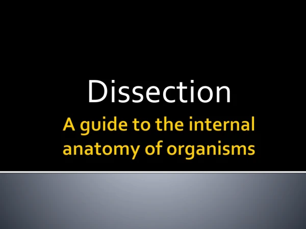 A guide to the internal anatomy of organisms