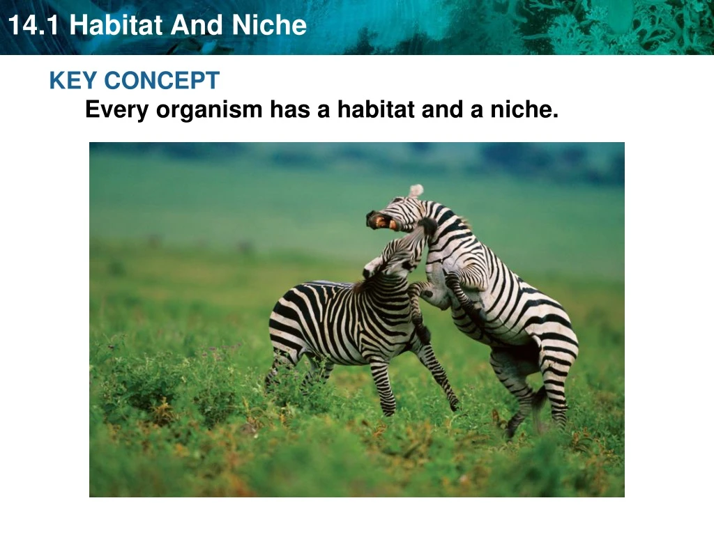key concept every organism has a habitat