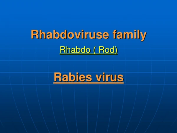 Rhabdoviruse family Rhabdo ( Rod) Rabies virus