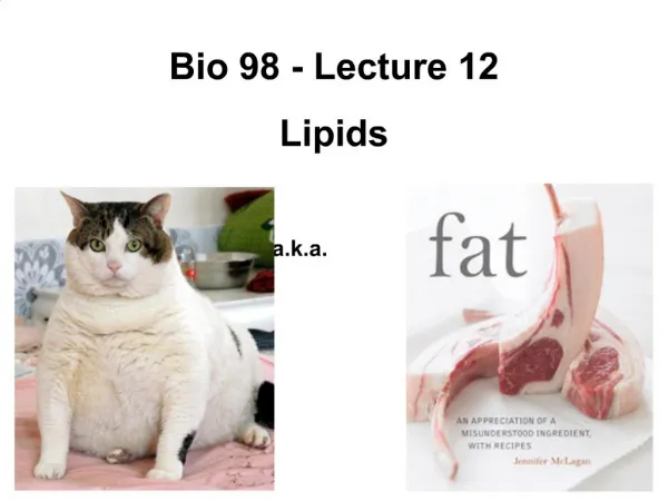 Bio 98 - Lecture 12 Lipids a.k.a.