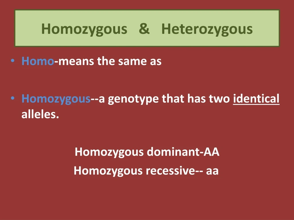 homozygous heterozygous