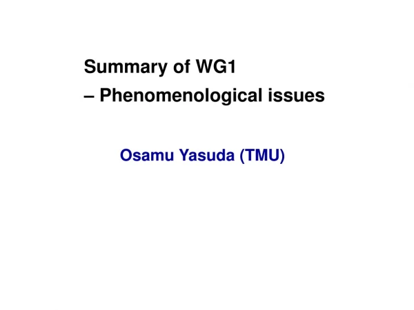 Summary of WG1 – Phenomenological issues