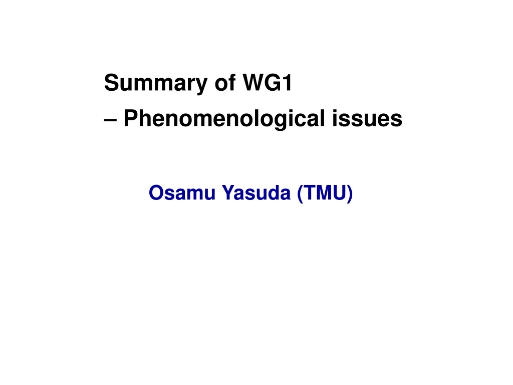 summary of wg1 phenomenological issues