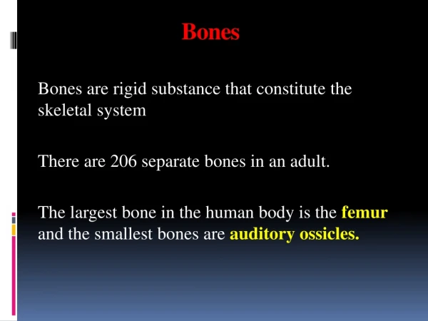 Bones