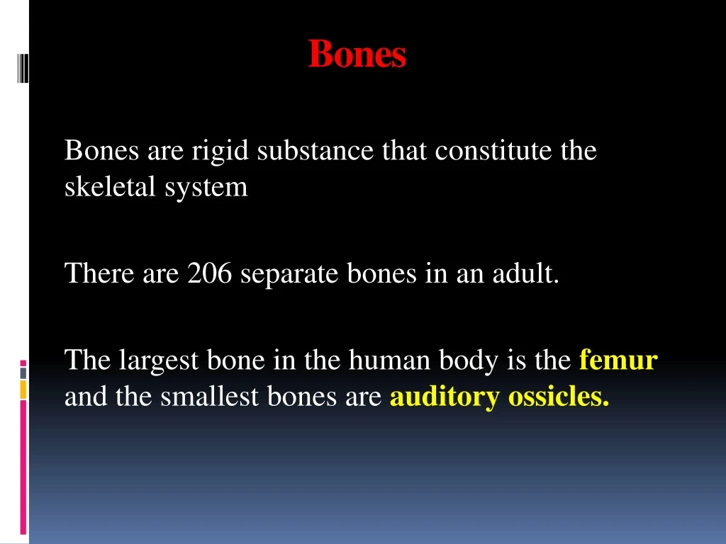 bones