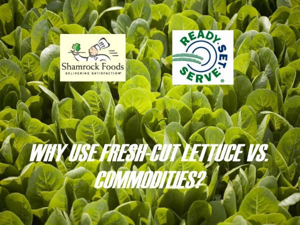 Why Use Fresh-Cut Lettuce vs. Commodities?