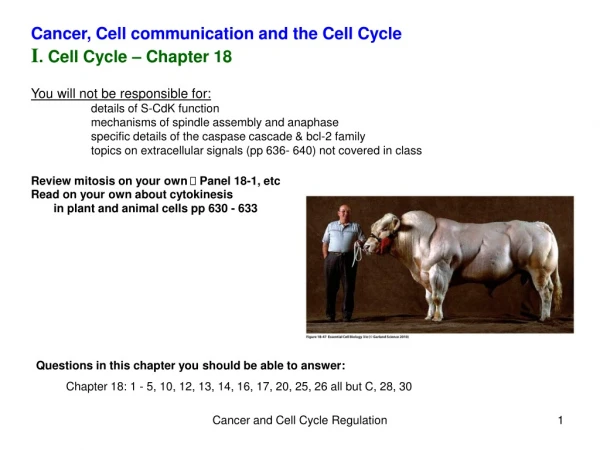 Cancer, Cell communication and the Cell Cycle I . Cell Cycle – Chapter 18