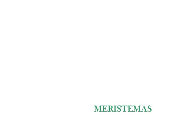 MERISTEMAS