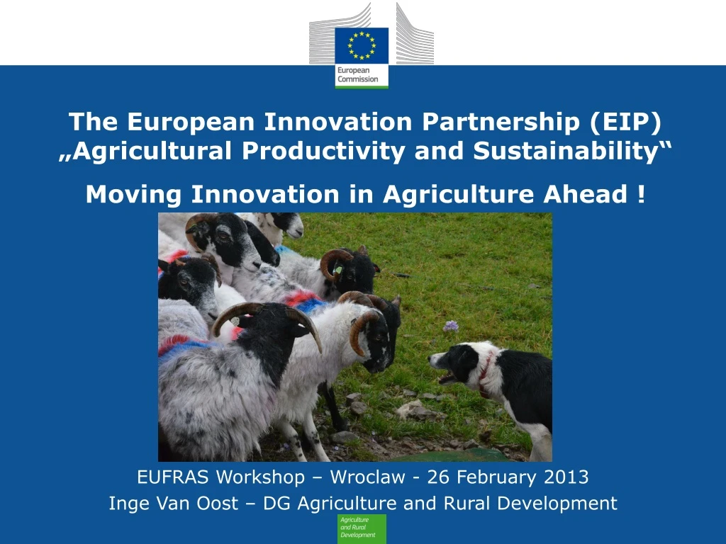 the european innovation partnership
