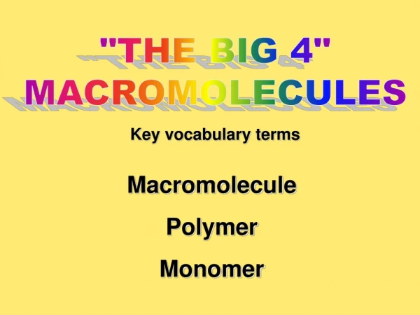 &quot;THE BIG 4&quot; MACROMOLECULES Key vocabulary terms