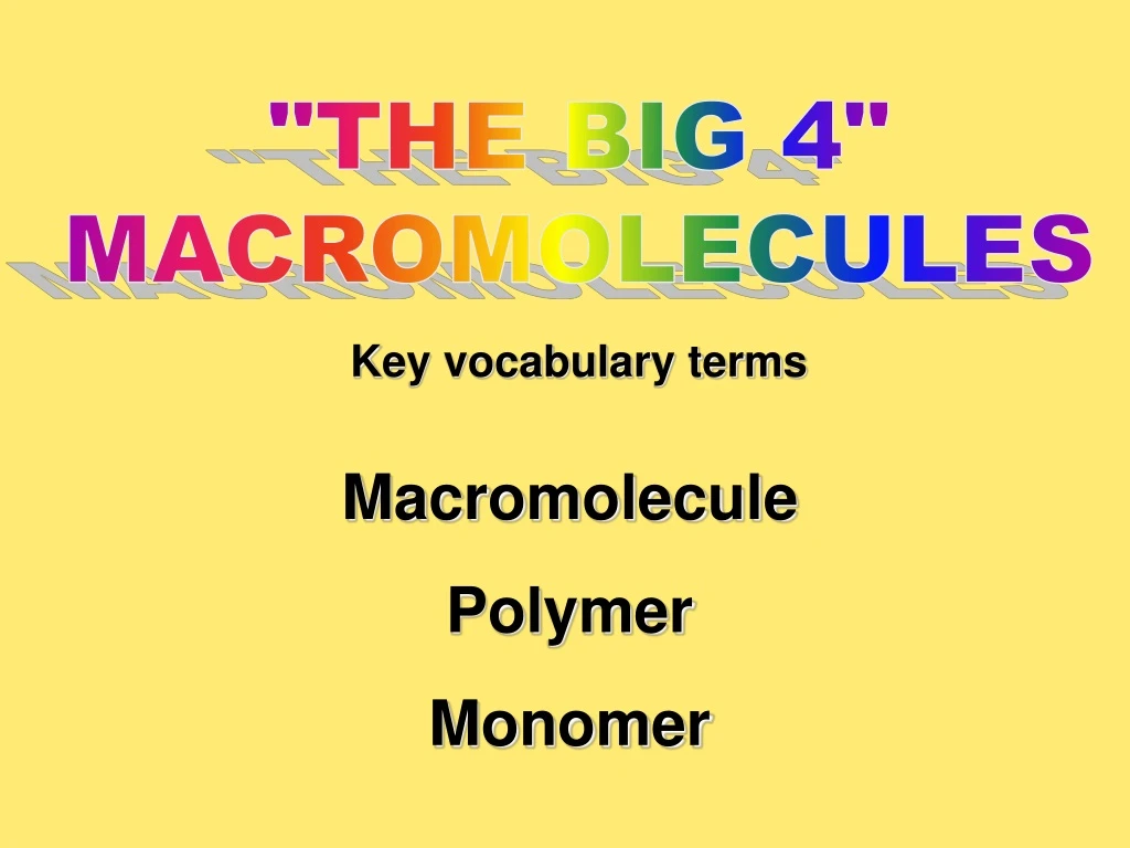 the big 4 macromolecules key vocabulary terms