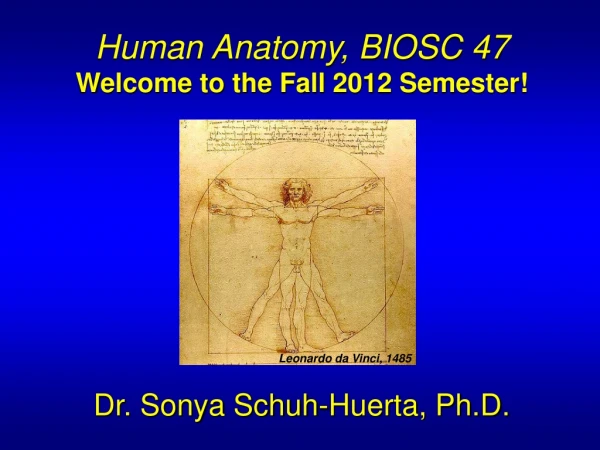 Human Anatomy, BIOSC 47 Welcome to the Fall 2012 Semester! Dr. Sonya Schuh-Huerta, Ph.D.