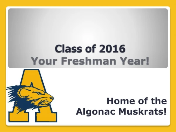 Class of 2016 Your Freshman Year!