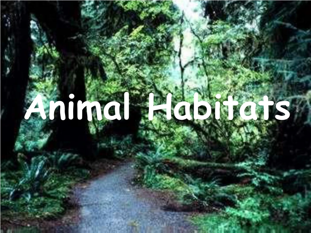 animal habitats