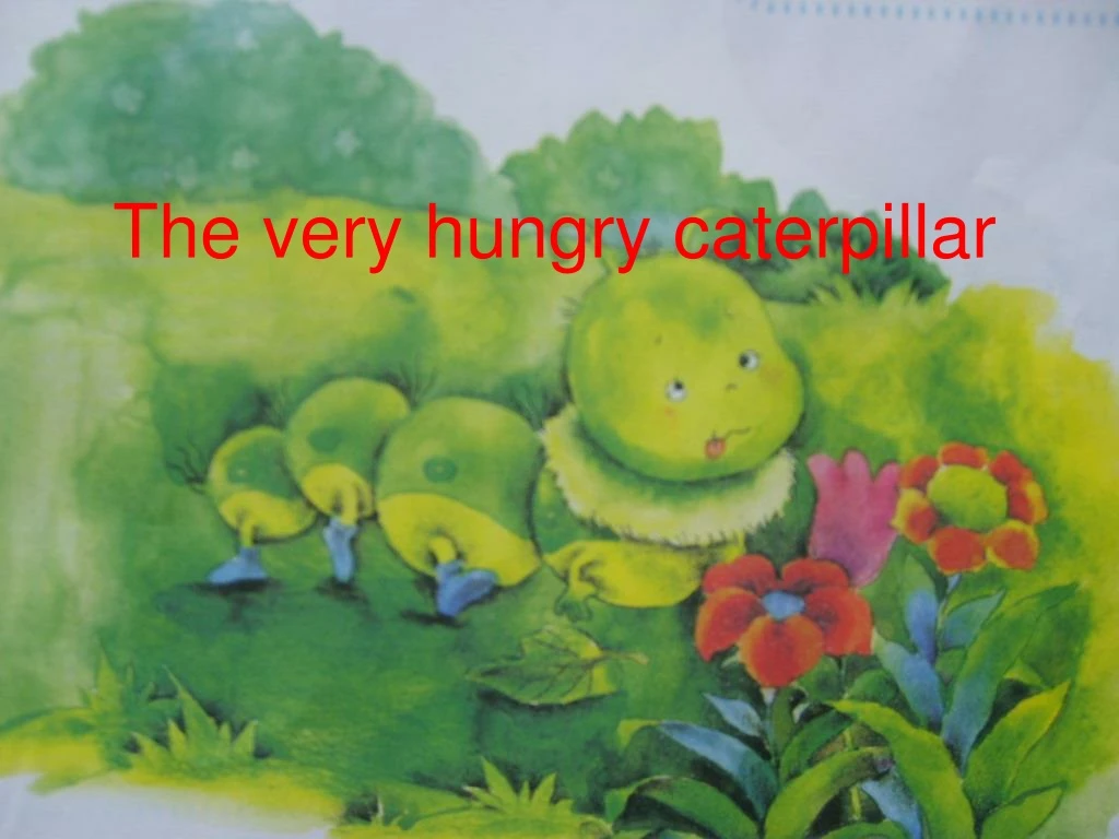 the very hungry caterpillar