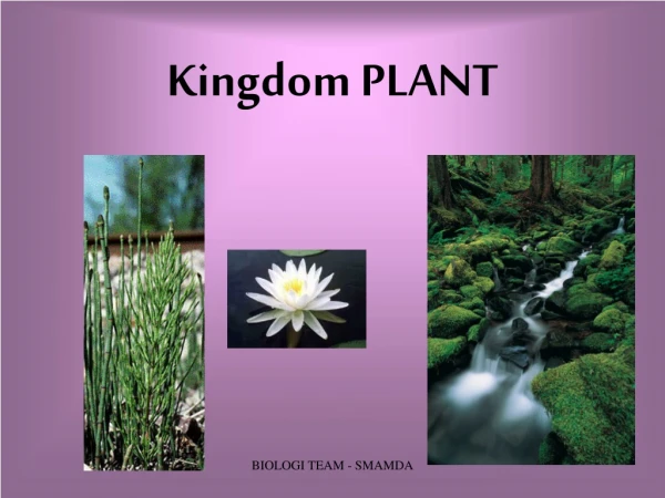 Kingdom PLANT