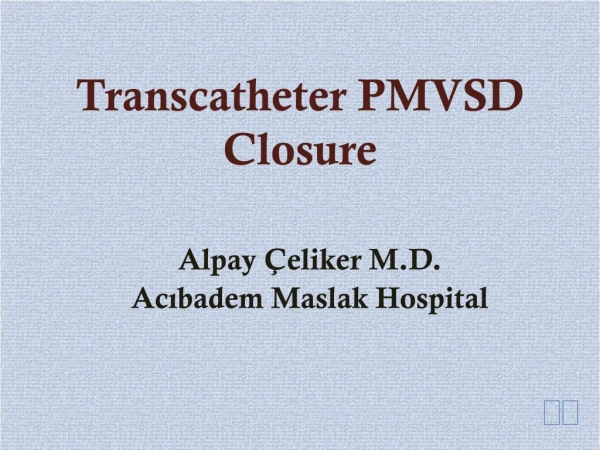 Trans catheter PMVSD Closure
