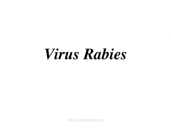 Virus Rabies