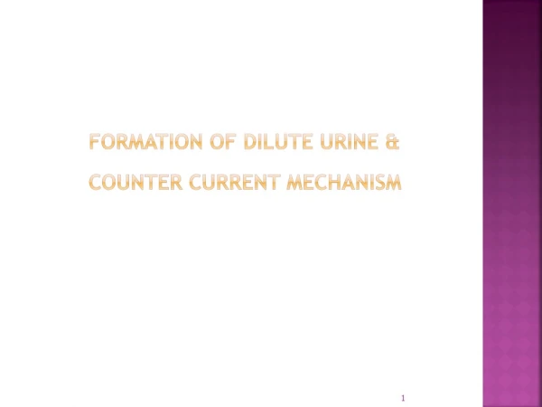 FORMATION OF DILUTE URINE &amp; 	COUNTER CURRENT MECHANISM