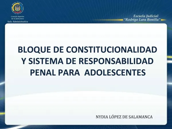 BLOQUE DE CONSTITUCIONALIDAD Y SISTEMA DE RESPONSABILIDAD PENAL PARA ADOLESCENTES