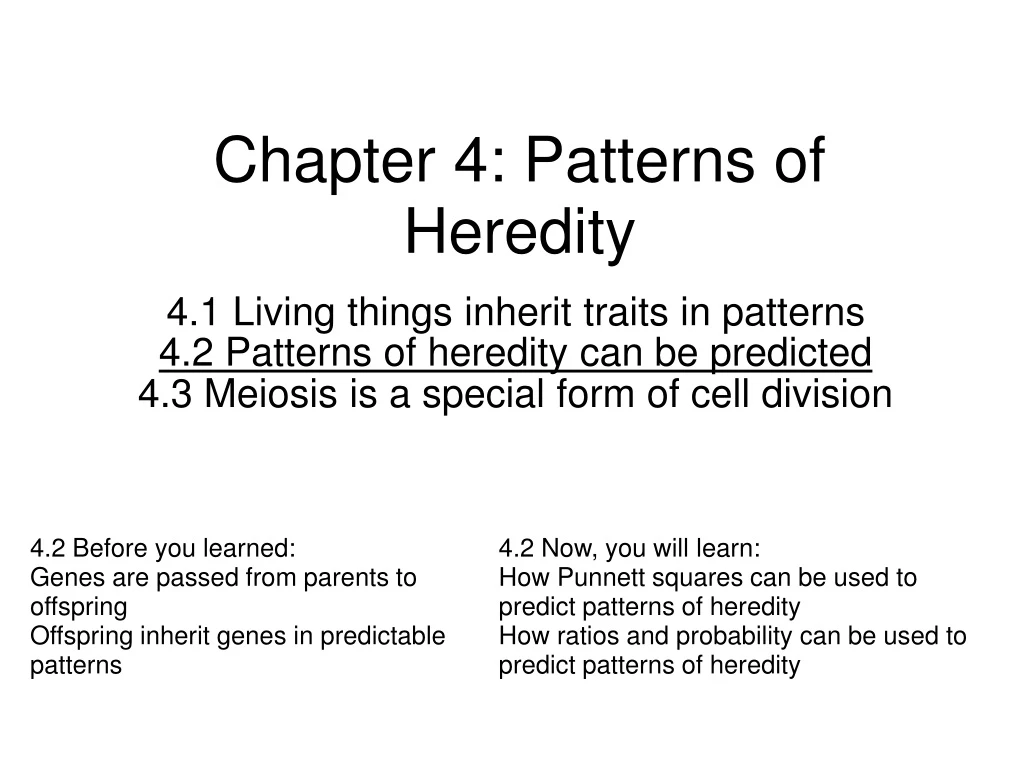 chapter 4 patterns of heredity