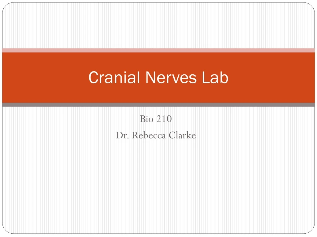cranial nerves lab