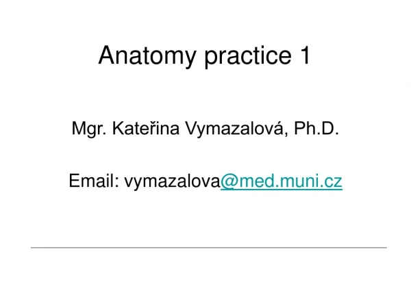 Anatomy practice 1