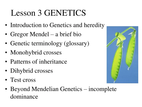 Lesson 3 GENETICS
