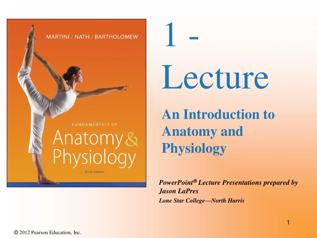 1 lecture an introduction to anatomy