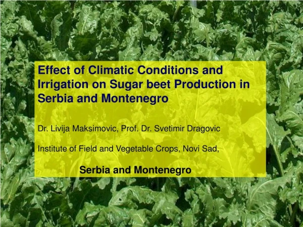 Effect of Climatic Conditions and Irrigation on Sugar beet Production in Serbia and Montenegro