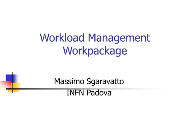 Workload Management Workpackage