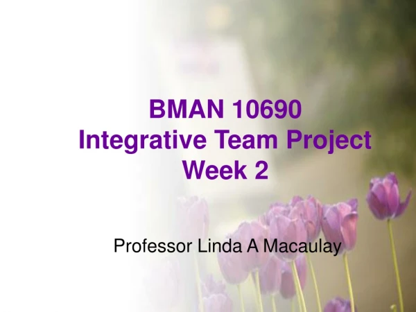 BMAN 10690 Integrative Team Project Week 2
