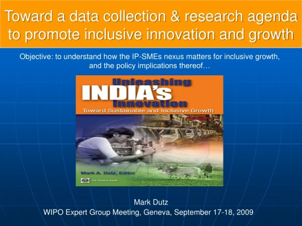 Toward a data collection &amp; research agenda to promote inclusive innovation and growth