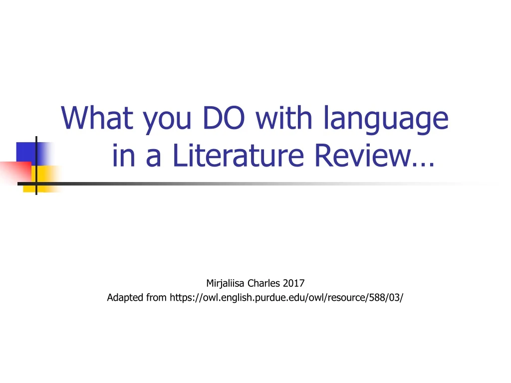 what you do with language in a literature review