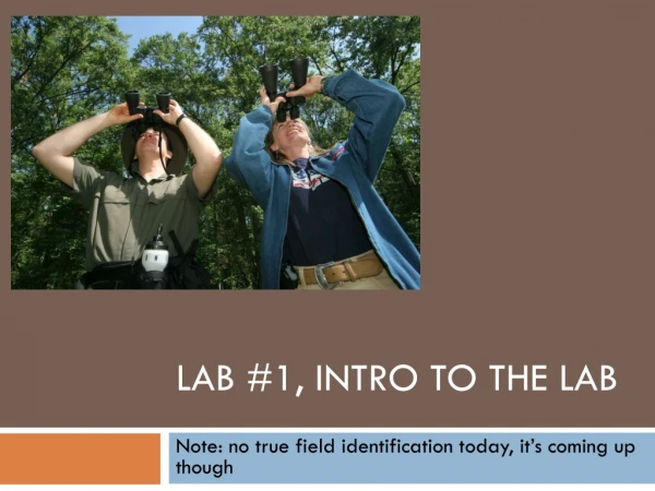 Lab #1, Intro to the lab