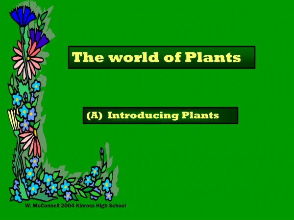 The world of Plants