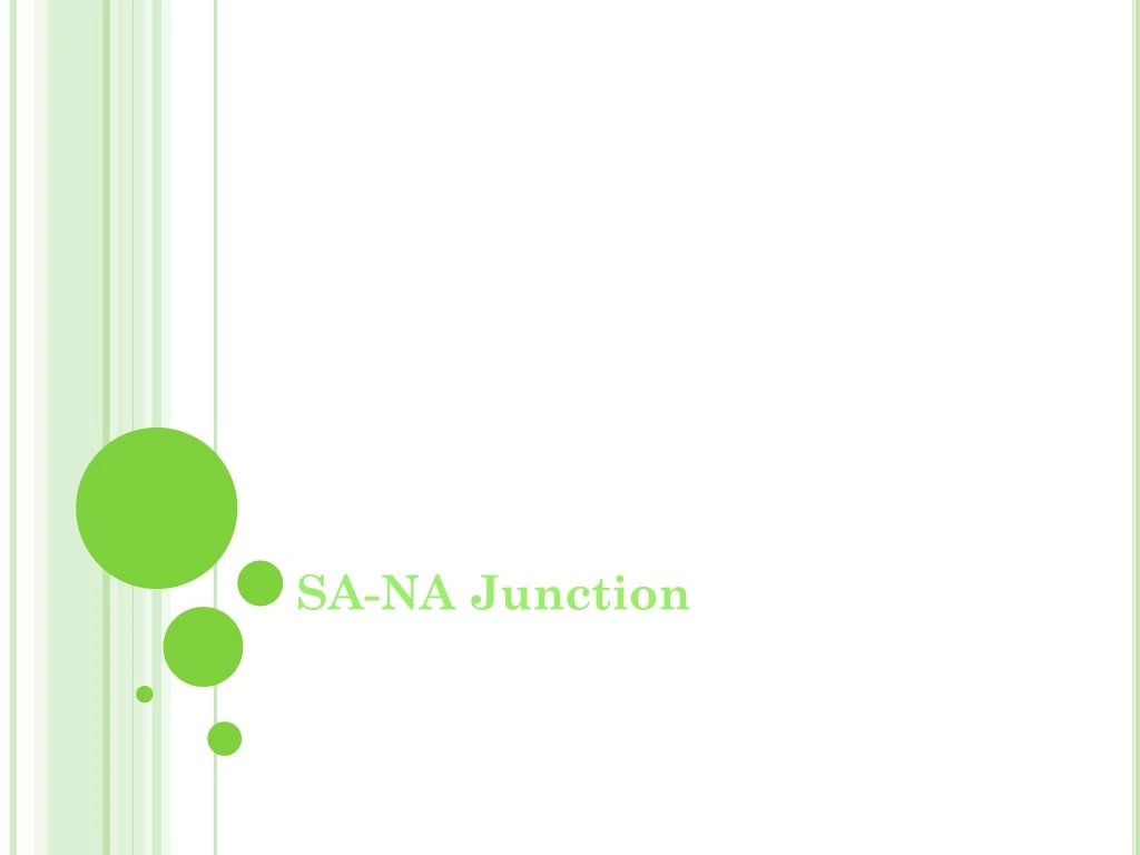 sa na junction