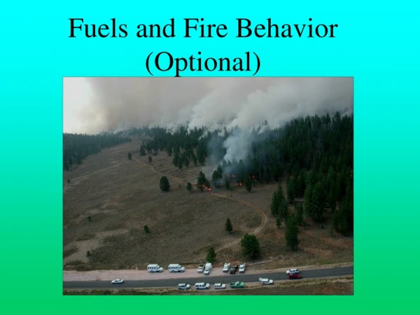 Fuels and Fire Behavior (Optional)