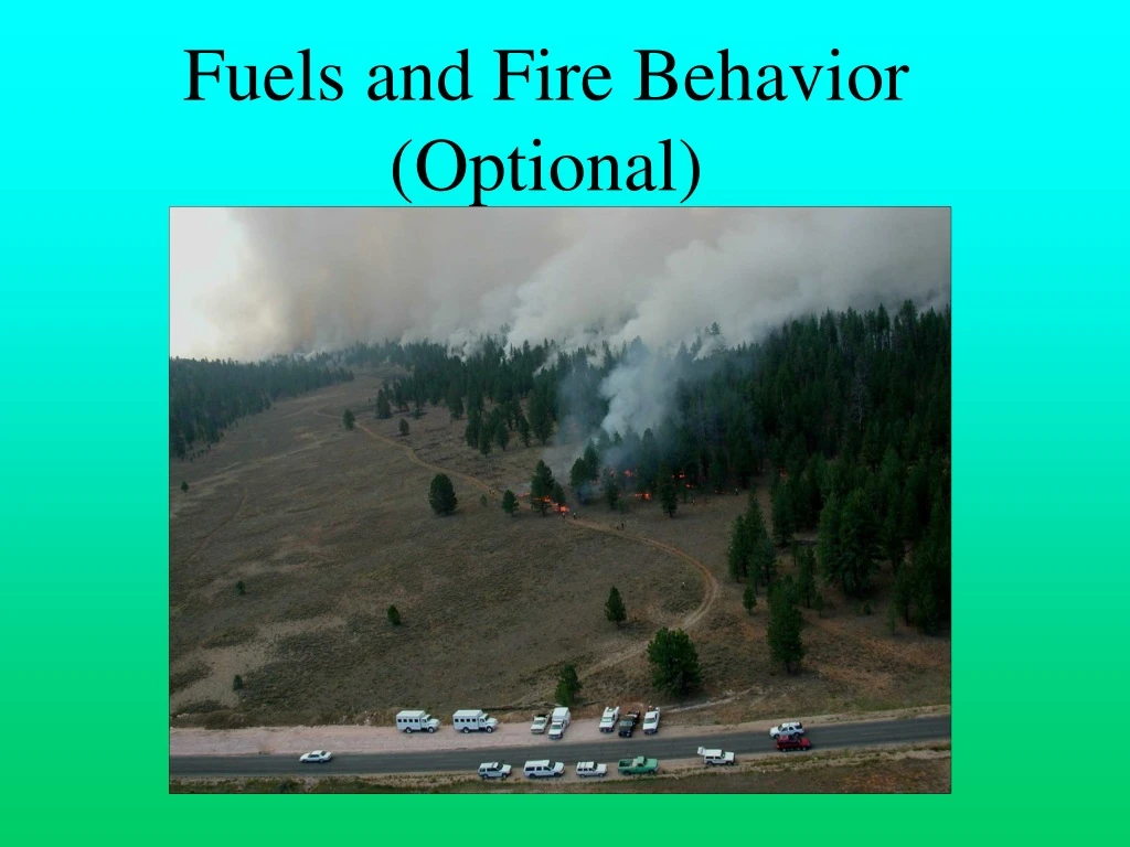 fuels and fire behavior optional