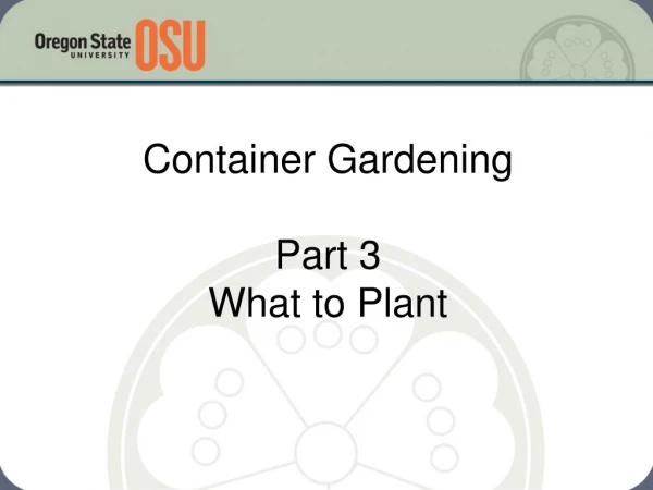 Container Gardening Part 3 What to Plant