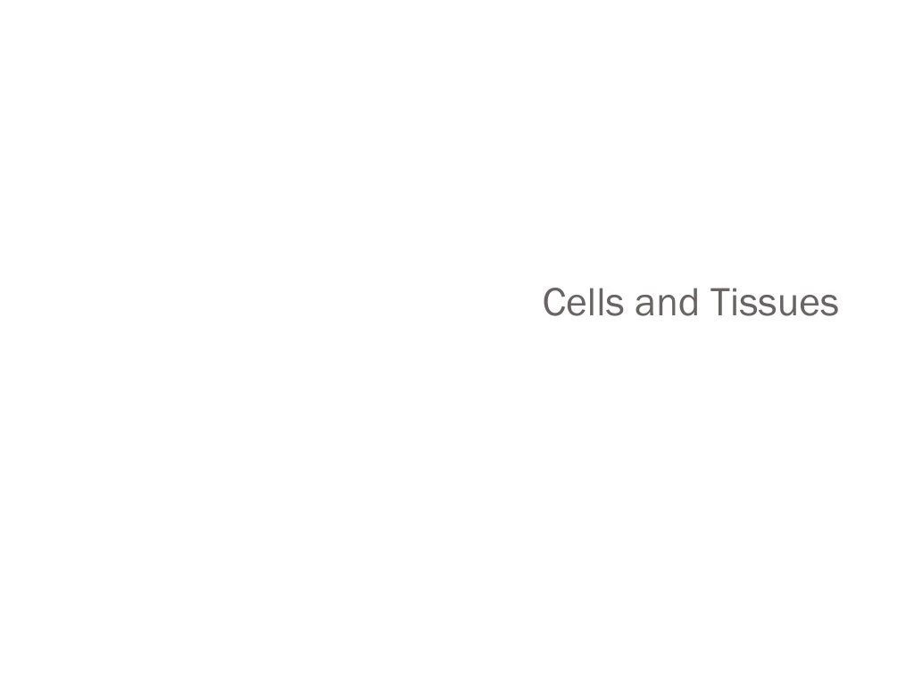 cells and tissues