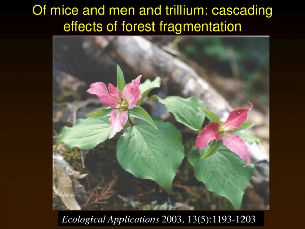 Of mice and men and trillium: cascading effects of forest fragmentation