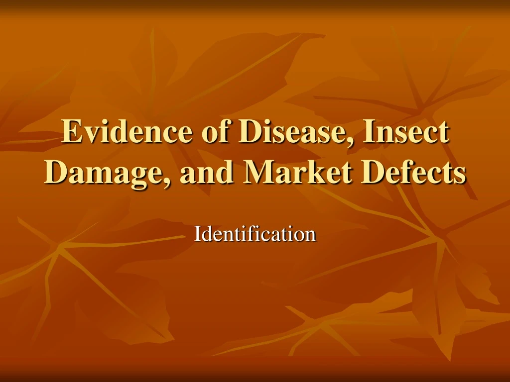evidence of disease insect damage and market defects