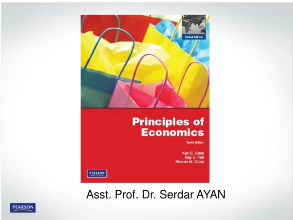 Asst. Prof. Dr. Serdar AYAN