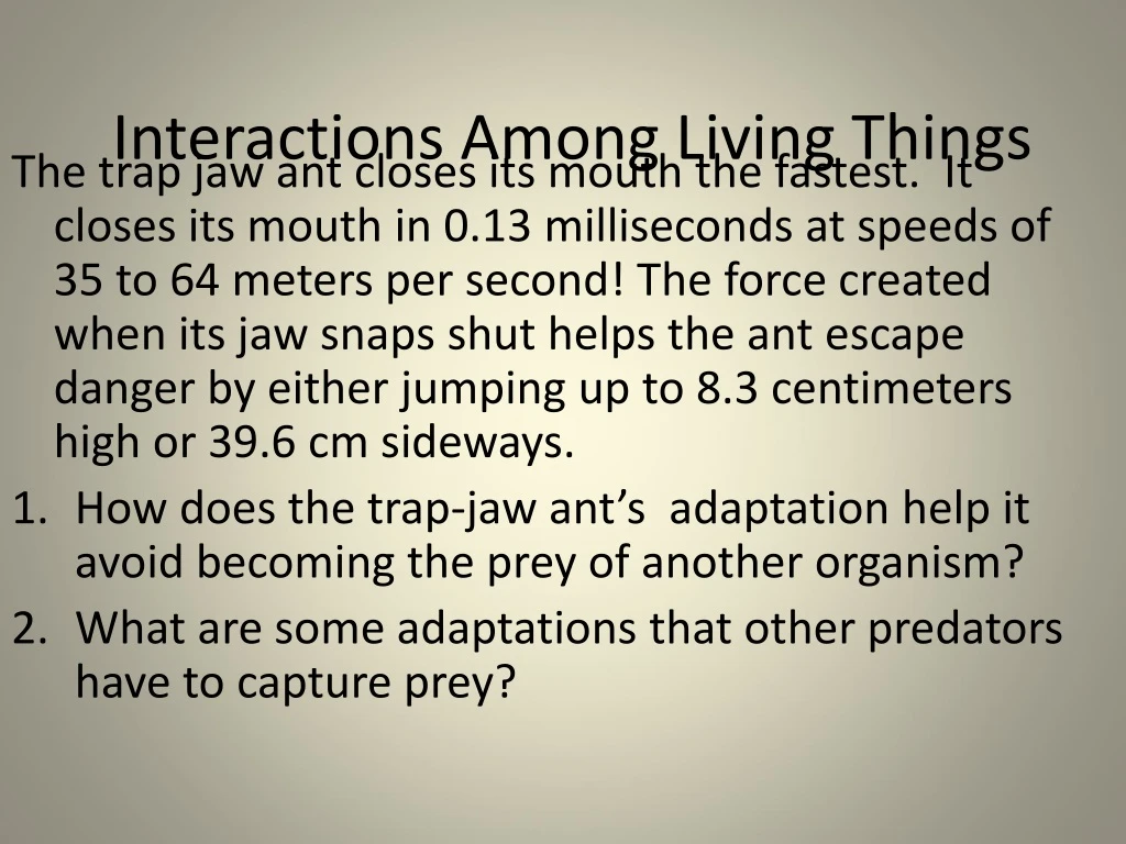 interactions among living things